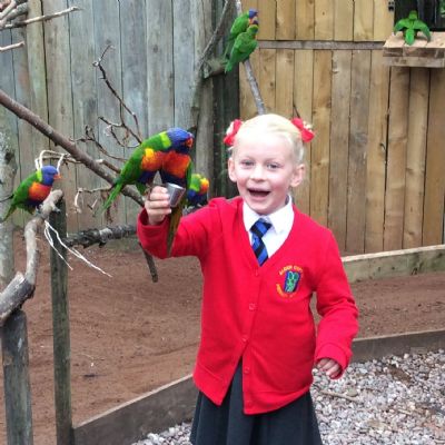 Wild Zoological Park